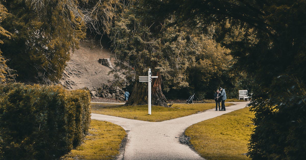 three paths choice fork road